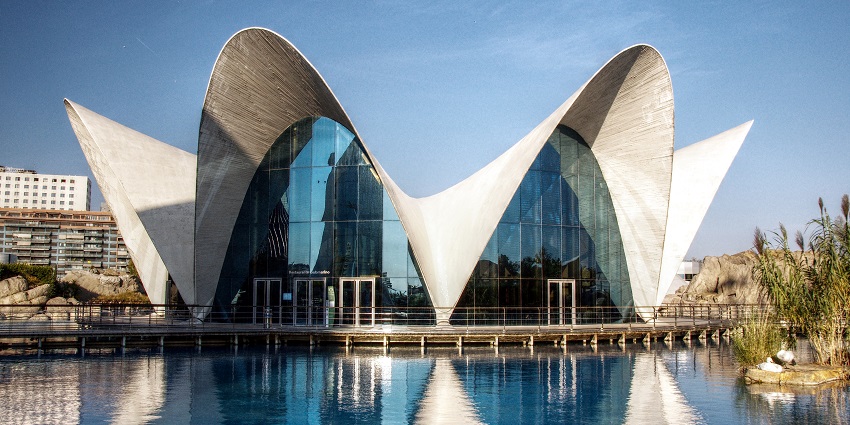 Visiting the Oceanogràfic aquarium is another of the amazing things to do in Valencia.