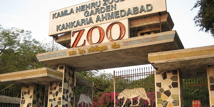 The main entrance of Kankaria Zoo is decorated with a board and beautiful Bougainvillea