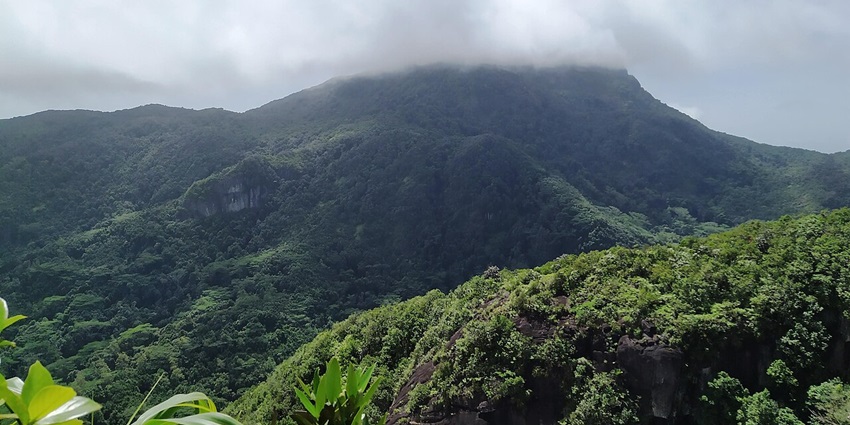 Towering peaks and greenery make Morne Seychellois one of the best things to do in Mahé.