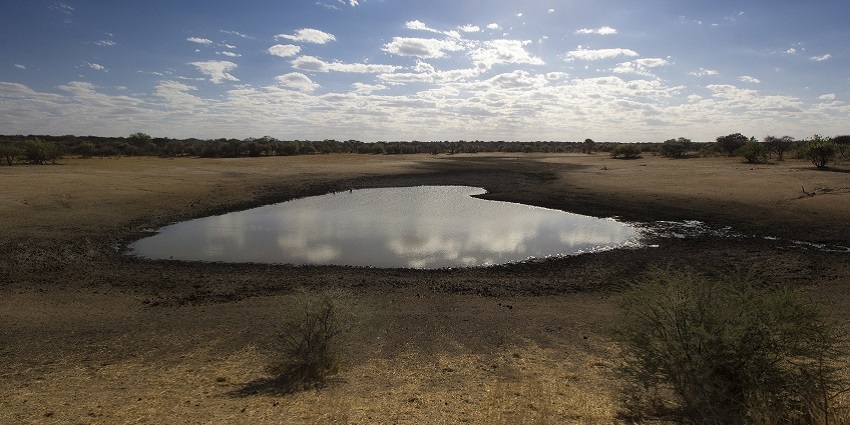 A waterhole amidst a dry, barren land looking picturesque under scorching sun rays