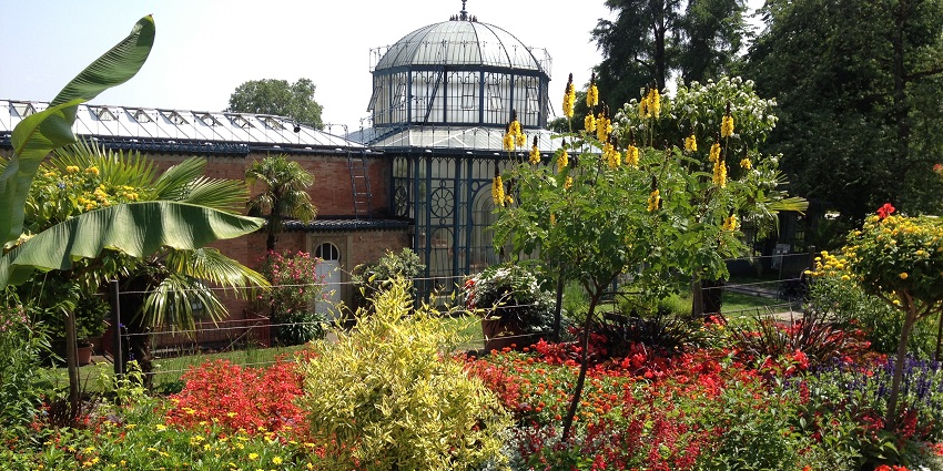 An image of exotic animals and vibrant botanical displays at Wilhelma.