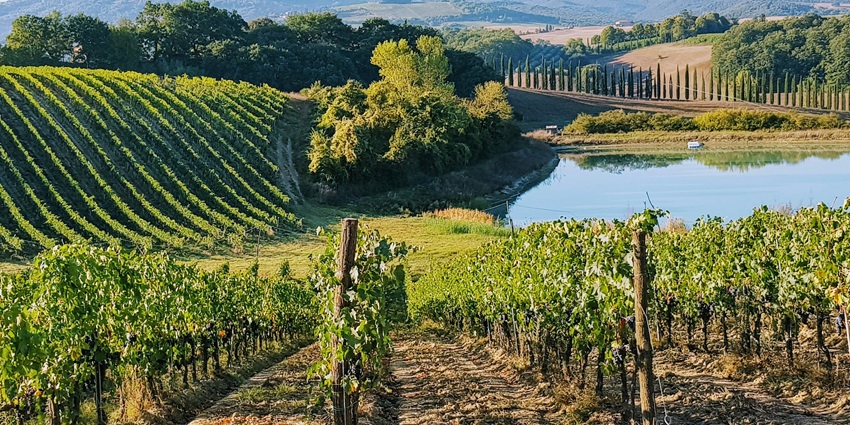 A road trip through Tuscany’s medieval villages is highly recommended with your loved ones.