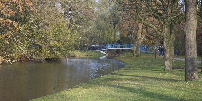 Popular city park with green spaces, ponds, and walking paths.