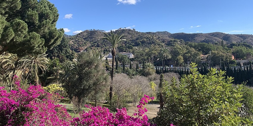 Vist the Botanical Garden, a peaceful thing to do in Malaga