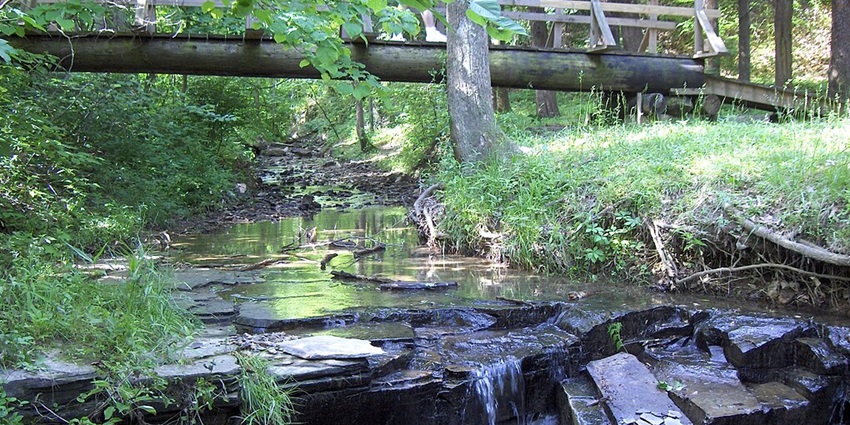 The streets of Vallée de Mai have shaded trails, ensuring a memorable experience for visitors.