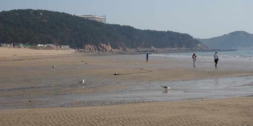 Serene Beach with clear waters and scenic natural magnificence