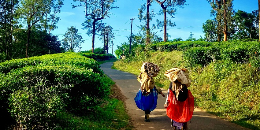 Coonoor Railway Station in Tamil Nadu, featuring a charming hill station ambience.