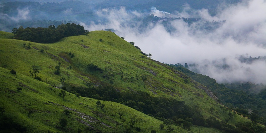 Lush green hills, misty valleys, and tea plantations in Wayanad, Kerala's Western Ghats.