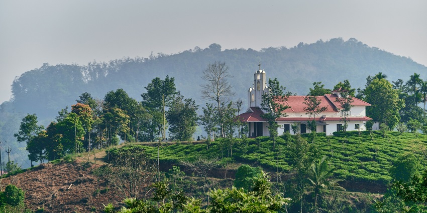 An image of a green surrounded by tall bamboo trees forming a natural Wayanad archway with greenery