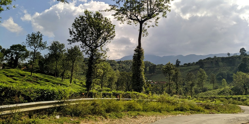 Wayanad offers a peaceful escape - Places to visit in December in south India