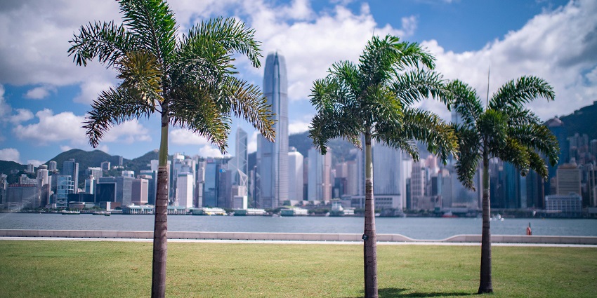 Glimpse of the West Kowloon Art Park nestled in serenity and greenery.