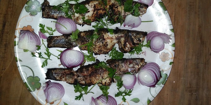 An image of traditional Assamese style fish barbeque, Khorikat Pura Mas.