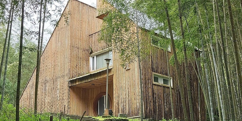 You can stay in rustic bamboo cottages surrounded by lush greenery.