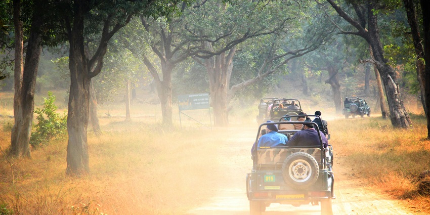 Bandhavgarh National Park, a place to visit as mentioned in the Bandhavgarh travel guide.