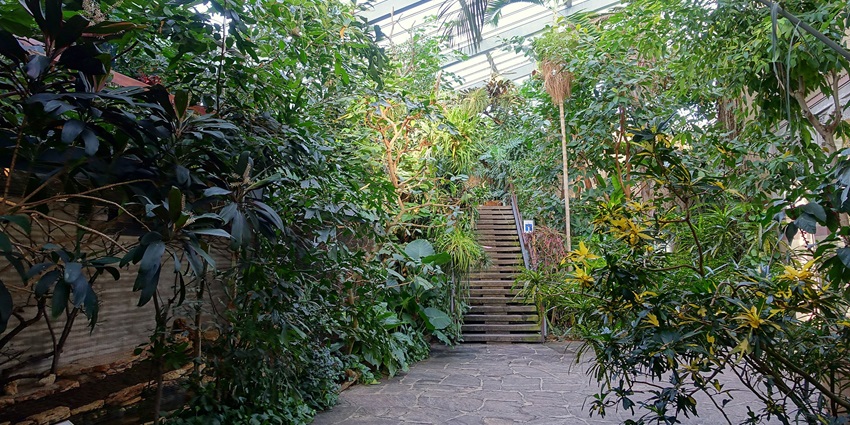 The greenhouse view at Wilhelma Zoo, a popular destination near Mercedes-Benz Museum.