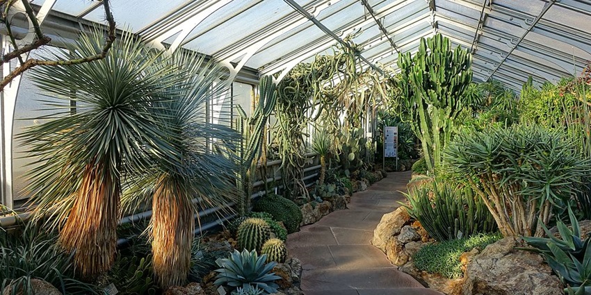 Image of the greenhouse view at Wilhelma Zoo, one of the places for Stuttgart trip.