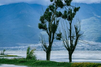 The scenic view of the Wular Lake, surrounded by mountains and greenery and clear sky.