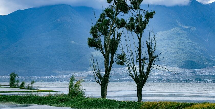 The scenic view of the Wular Lake, surrounded by mountains and greenery and clear sky.