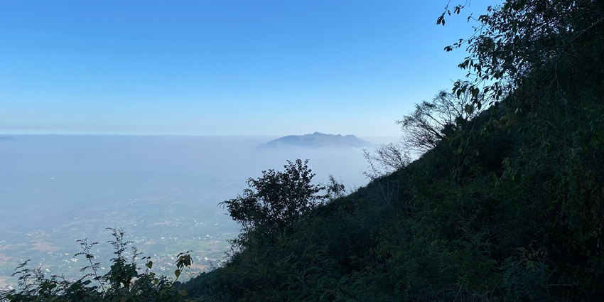 Yelagiri offers a peaceful escape from the monotony of life.