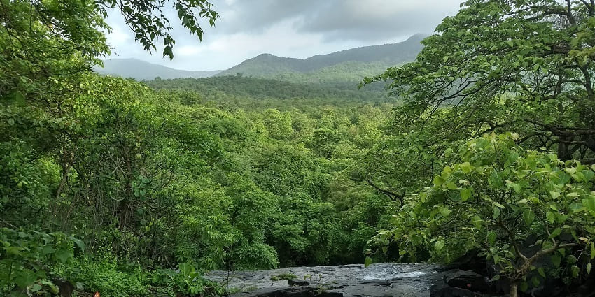 Lush hills with hiking trails and tranquil natural magnificence, highlighted in the Thane city guide.