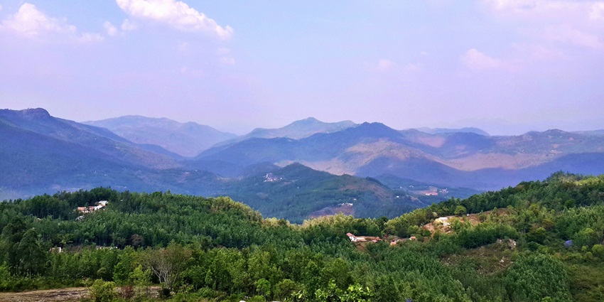 Relax in the calm environment of Yercaud, Tamil Nadu, a peaceful haven in South India.
