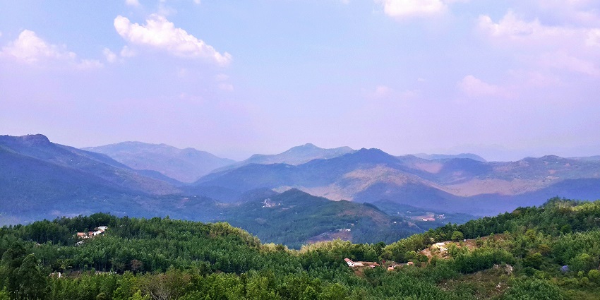 Relax in the calm environment of Yercaud, Tamil Nadu, a peaceful haven in South India.
