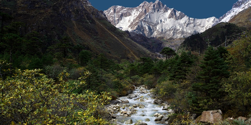 Yumthang Valley is one of the most breathtaking places you can explore in India.