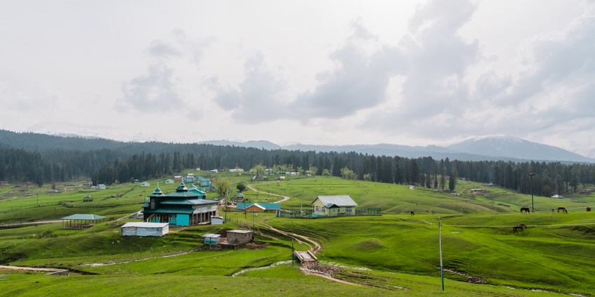 Scenic lush greenery at Yusmarg in Budgam District, Kashmir, India.