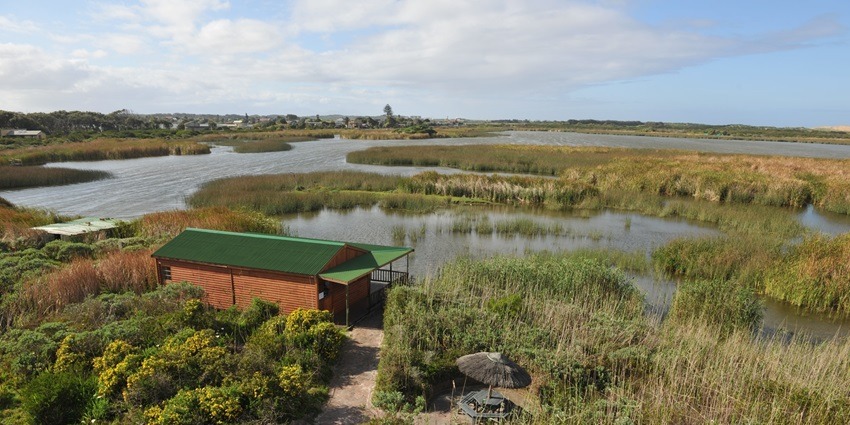 Rondevlei Wetlands Nature Reserve in Cape Town with a distant view of the Zeekovlei lake