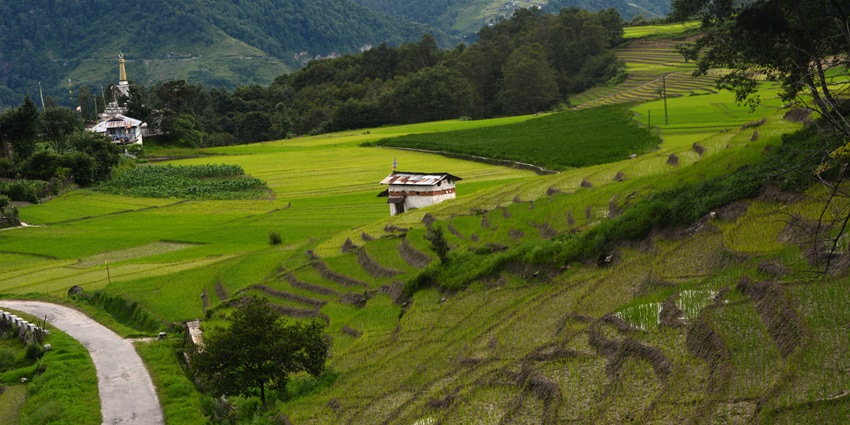 An image of lush green valleys and tribal homes in Ziro, an untouched winter paradise in India.