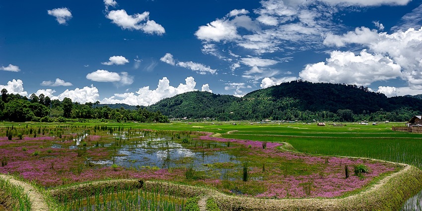 Green Ziro valley under blue skies, perfect places to visit in October with family in India
