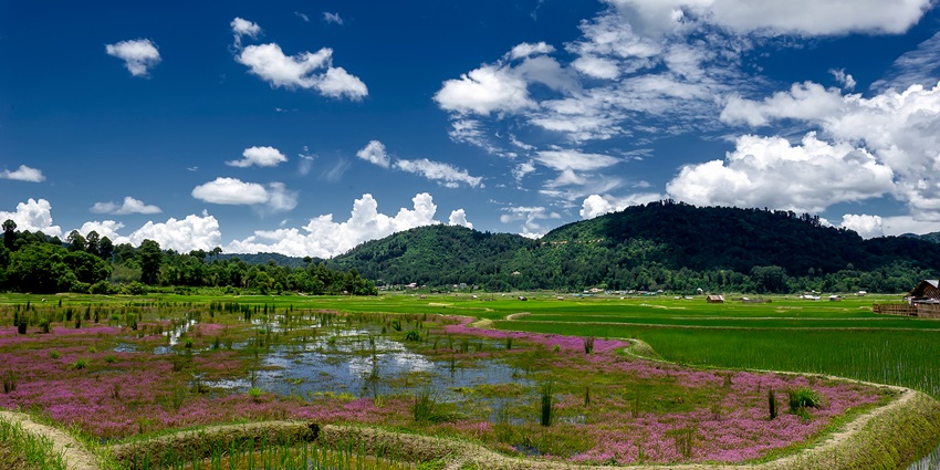 Ziro Valley, one of the underrated hill stations in India, known for its stunning landscapes.