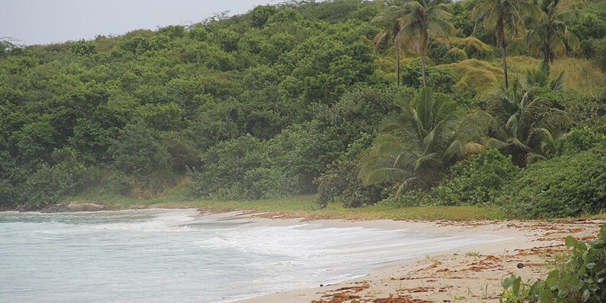 Secluded shoreline of Zoni Beach, one of the best beaches in Culebra for relaxation