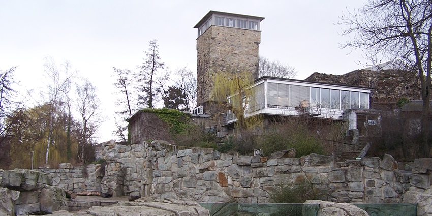 An Image of the Zoo Frankfurt, among the popular Frankfurt tourist places.