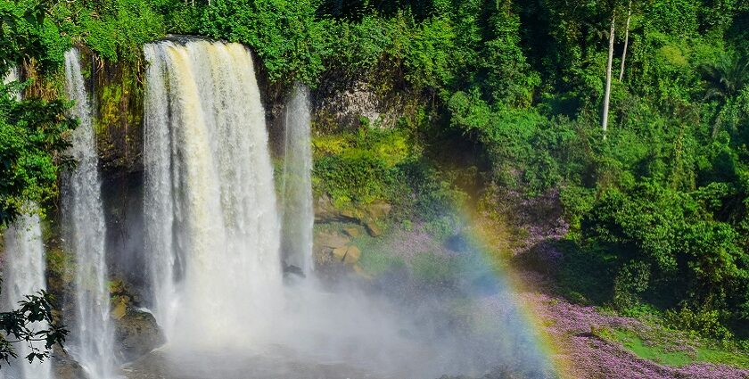 The Agbokim Waterfalls Nigeria is seen surrounded by dense greenery and a rainbow mist.