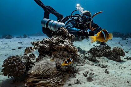 Costa Brava scuba diving offers stunning reefs, wrecks, caves, and marine life