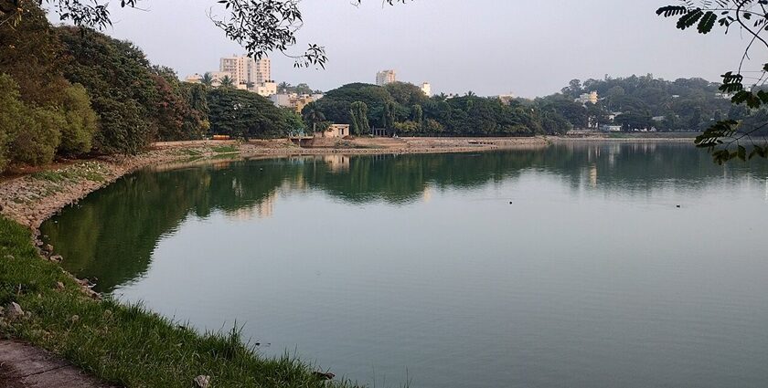 Ulsoor Lake, one of the famous lakes in Bangalore, from a distance with a small water body surrounded by greenery.