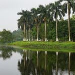 A serene view of one of the lakes in Guwahati with lush greenery and calm waters.