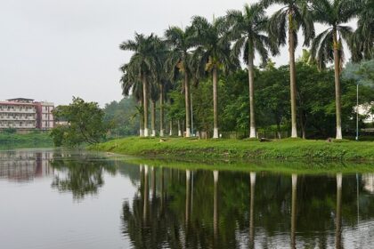 A serene view of one of the lakes in Guwahati with lush greenery and calm waters.