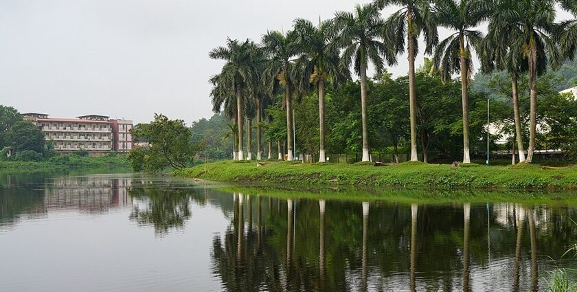 A serene view of one of the lakes in Guwahati with lush greenery and calm waters.