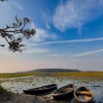 Kanwar Lake, oxbow lake in bihar with boats parked near the shoreline and a tree on the side