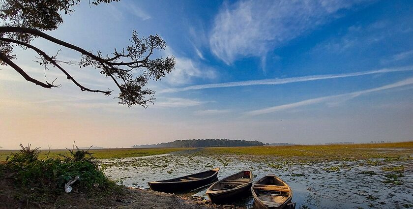 Kanwar Lake, oxbow lake in bihar with boats parked near the shoreline and a tree on the side