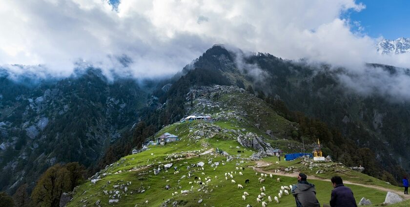 View of a scenic landscape in Dharamsala, one of the places to visit in February in North India.