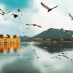 Birds flying over the lake in Jaipur, one of the places to visit in North India in December.