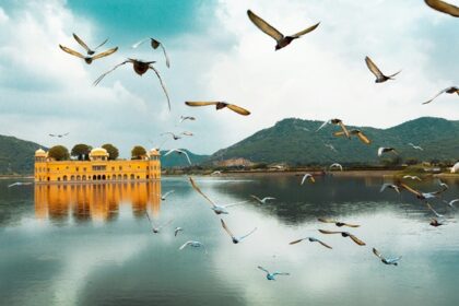 Birds flying over the lake in Jaipur, one of the places to visit in North India in December.