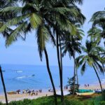 An image of green palm trees in Goa, one of the best places to visit in October in India for couples