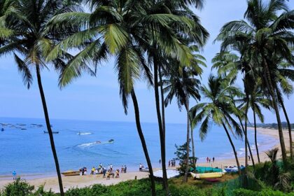 An image of green palm trees in Goa, one of the best places to visit in October in India for couples