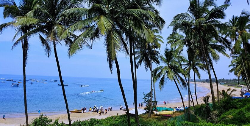 An image of green palm trees in Goa, one of the best places to visit in October in India for couples