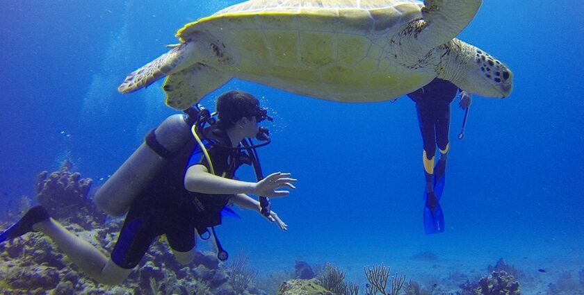 Explore breathtaking underwater landscapes at these top dive sites.