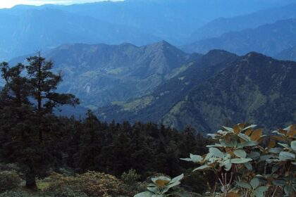 Things to do in Chopta offers trekking, camping, and stunning Himalayan views for adventurers.